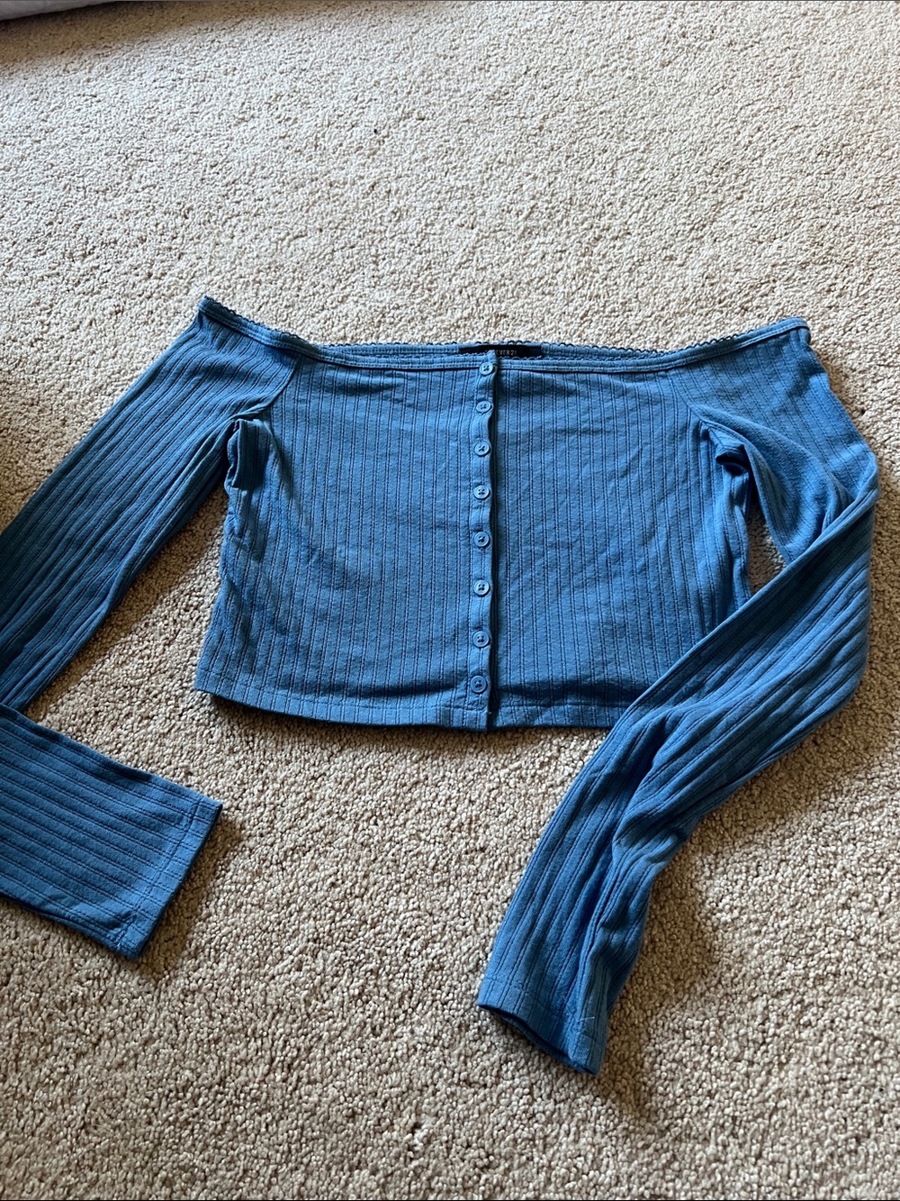 Forever 21 Blue Off-Shoulder Ribbed Button-Front Crop Top